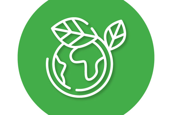 Sustainability and the Environment